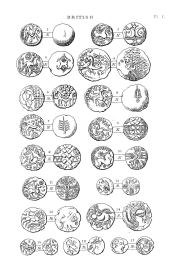 Hawkins 1887, plate I, fig. 15, p. 14, Plate I