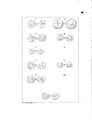 Lagoy 1826, plate Front., fig. 2, p. 11, Plate Front.