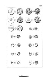 Evans 1890, plate XVIII, fig. 1, pp. 489–491, Plate XVIII