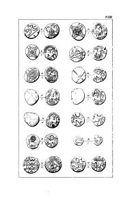 Evans 1890, plate XXIII, fig. 2, p. 580, Plate XXIII