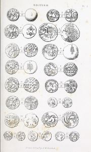 Hawkins 1841, plate I, fig. 15, p. 12, Plate I