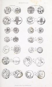 Hawkins 1841, plate II, fig. 28, p. 15, Plate II