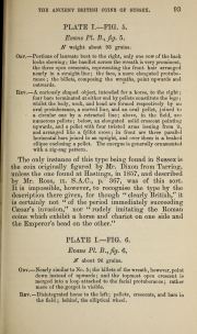 Willett 1879, plate I, fig. 5, p. 93, p. 93