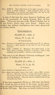 Willett 1880, plate IV, fig. 1, pp. 10-11, p. 11