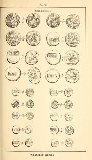 Willett 1880, plate IV, fig. 1, pp. 10-11, Plate IV