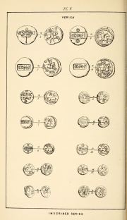 Willett 1880, plate V, fig. 1, pp. 17-18, Plate V