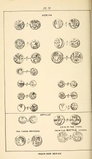 Willett 1880, plate VI, fig. 18, pp. 27-28, Plate VI
