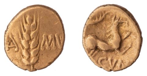 PAS 960298, both faces (photograph)